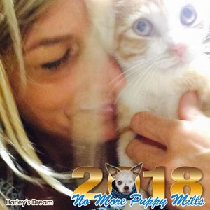 Meet your Posher, Christy